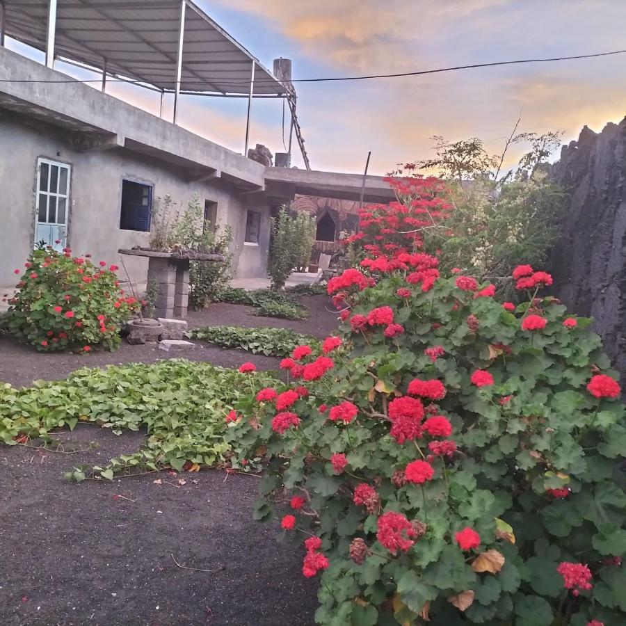 Pensao Repouso Alegre Turismo E Aventura Bed & Breakfast Portela Dış mekan fotoğraf