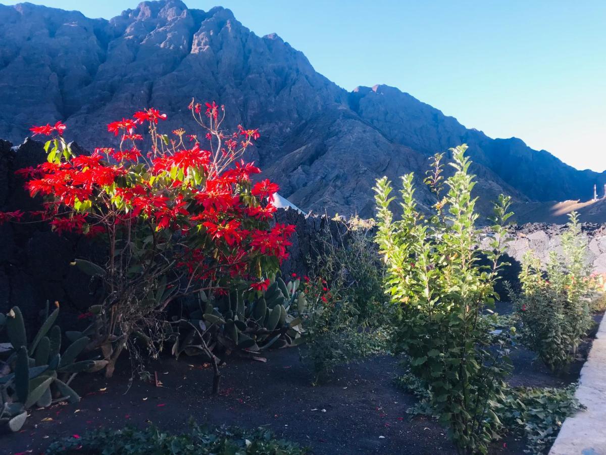 Pensao Repouso Alegre Turismo E Aventura Bed & Breakfast Portela Dış mekan fotoğraf